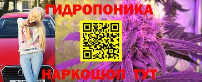 шишки Абинск
