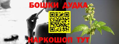 PSILOCYBIN Азнакаево